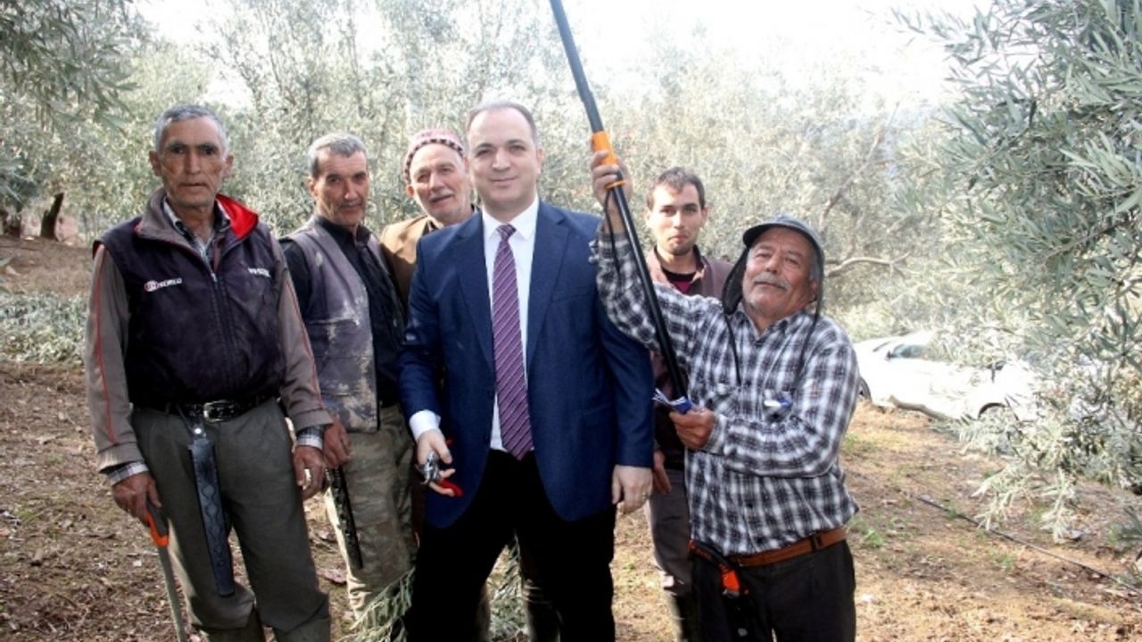 Bağımsız aday Gökçe’nin tarımsal projeleri ilgi görüyor