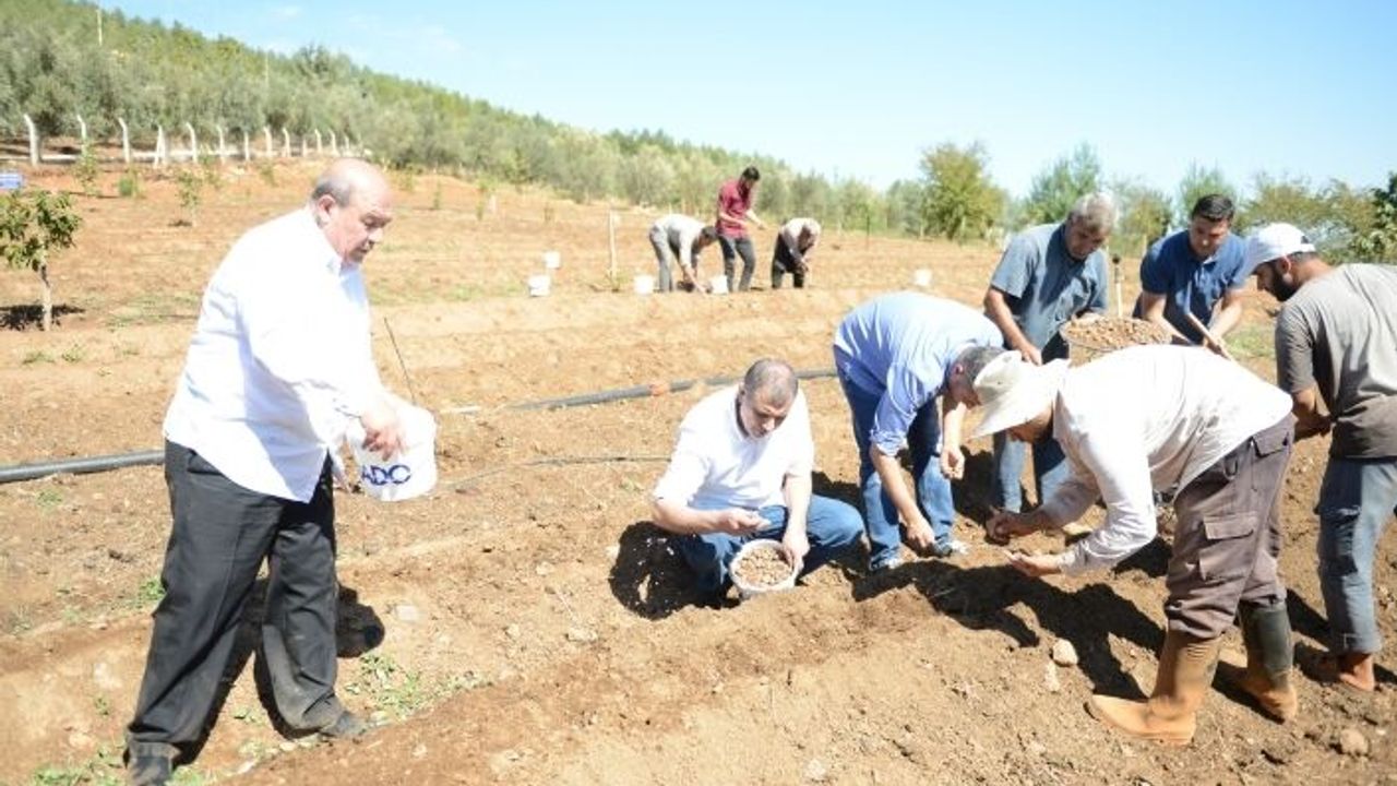 Mado Salep Üretimine Destek Veriyor