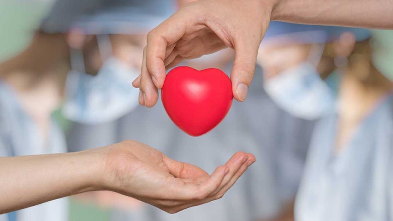 Organ Bağışı Nasıl Yapılır ? Organ Bağışı Yapmak İçin Şartlar Nelerdir?