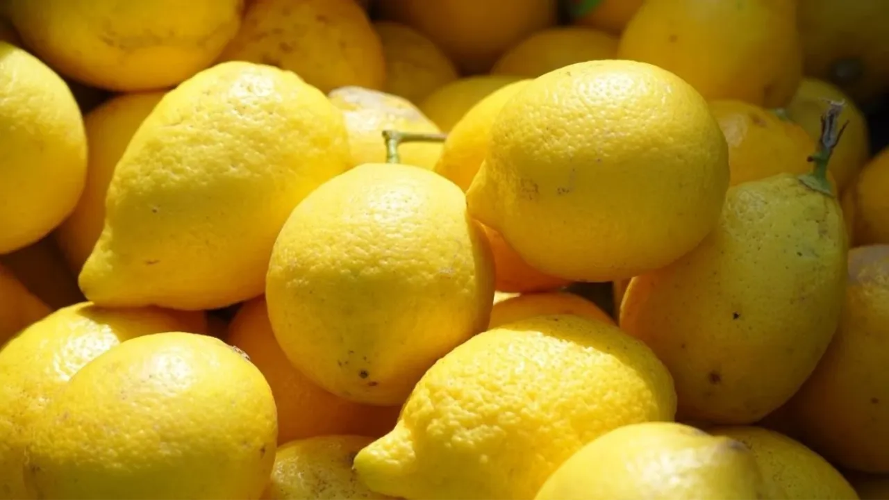 Limon sosu nedir, zararlı mı?