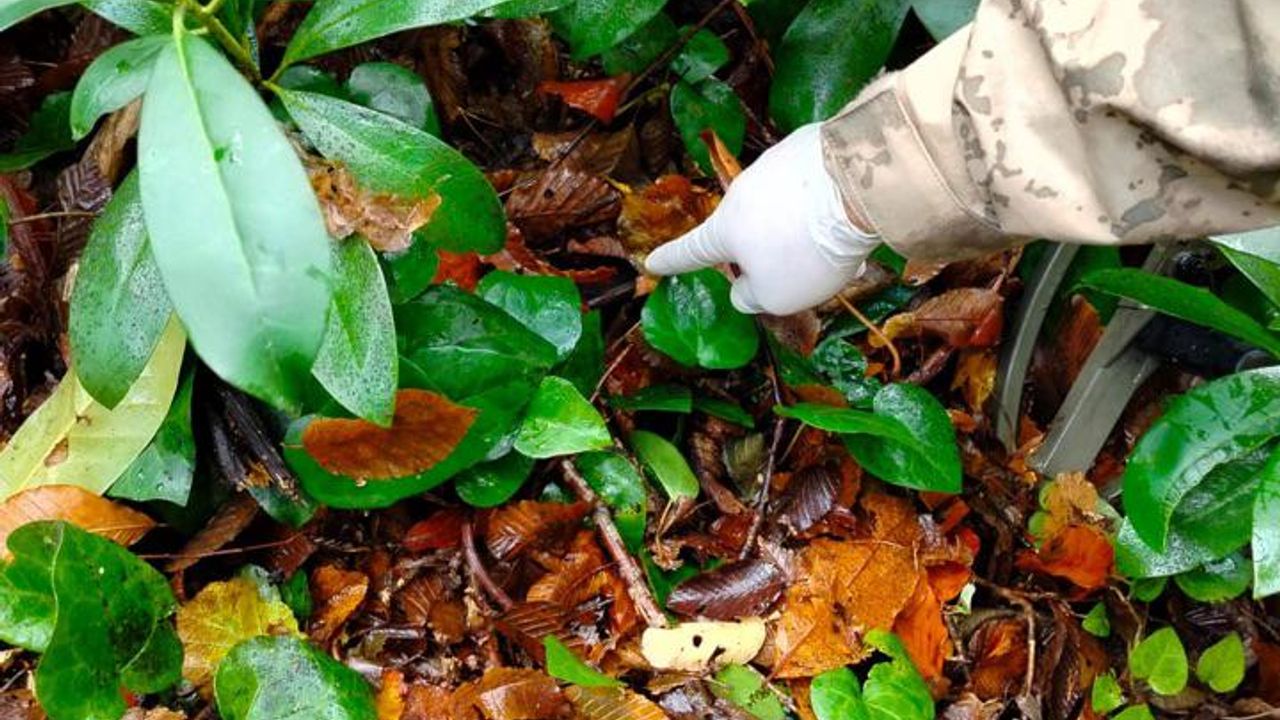 Dere Yatağında Bulunan Anne ve Oğlunun Ölüm Nedeni Açıklandı