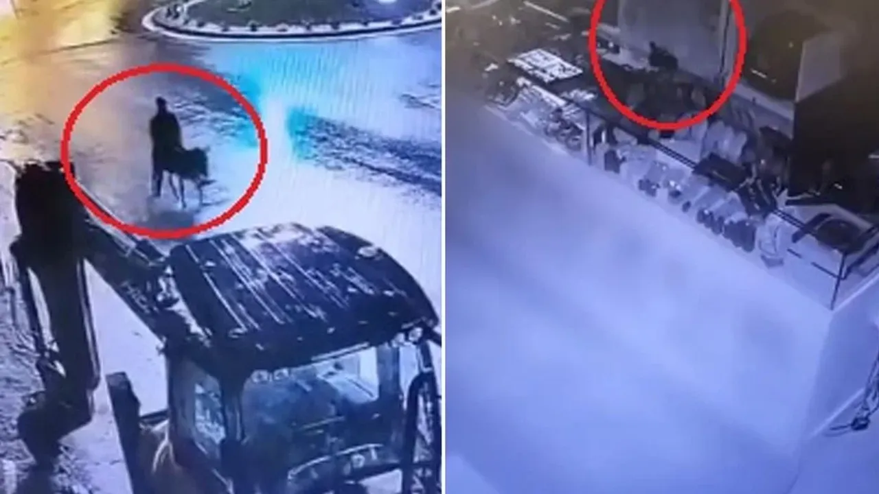 Gören inanamadı! Eşekle kaçan hırsızın cezası belli oldu
