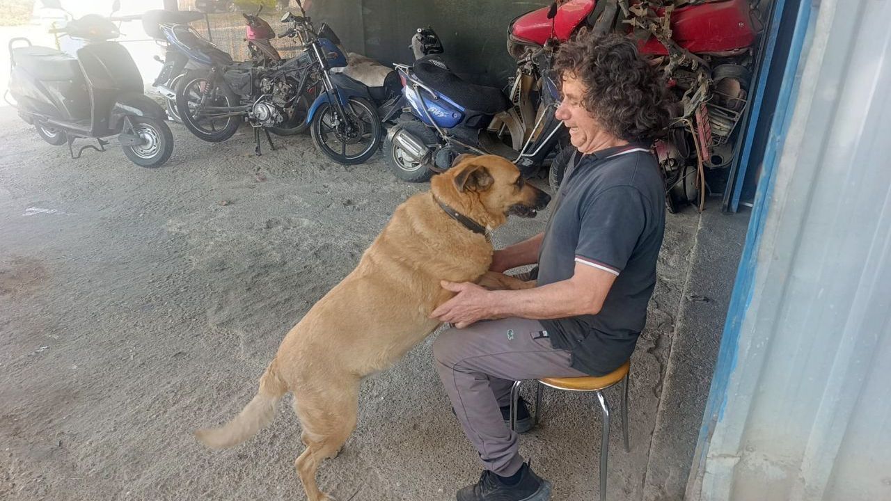 Görme engelli köpeğine 13 yıldır evladı gibi bakıyor