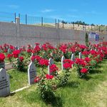 Kahramanmaraş'ta bugün vefat edenler 24.7.2026