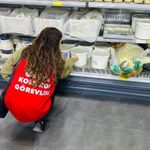 STT ve TETT farkına dikkat! Gıda israfını böyle önleyin