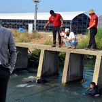Antalya Serik'te kaybolan sera işçisini arama çalışmaları başlatıldı