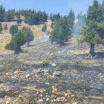 Kahramanmaraş'ta iki orman yangını kontrol altında