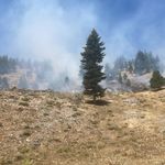 Kahramanmaraş'ta Orman Yangınına Havadan ve Karadan Müdahale