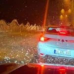 Milyonlarca Kelebeğin Ölüm Dansı Yeniden Yaşandı