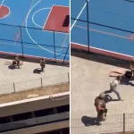 Özel Harekat Destekli Baskın! Kaçmaya Çalışan Kadın Şüpheli Yakalandı