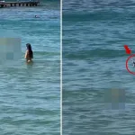 Serinlemek için denize girdiler, karşılarına yılan çıktı!
