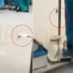 Hastanenin ameliyathanesinden skandal görüntü! Hasta masadayken fare dolaştı