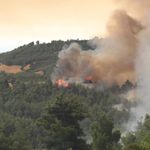Korkutan orman yangını: 40 ev tahliye edildi