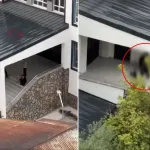 Okulun yanı başında skandal görüntü! Kimseye aldırış etmediler