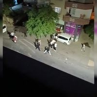 Asayiş