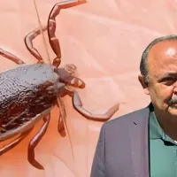 Gündem
