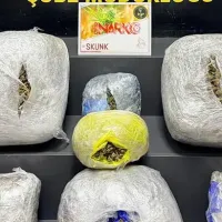 Asayiş