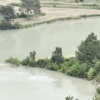 Asayiş