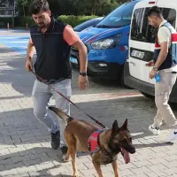 Asayiş