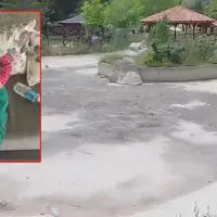 Asayiş