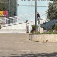 Eğitim