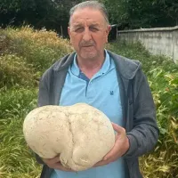 Güncel