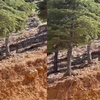 Kahramanmaraş