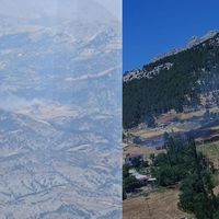 Asayiş