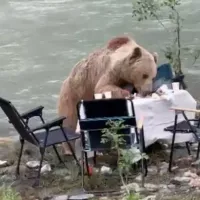 Çevre