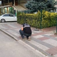 Asayiş