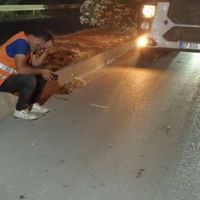 Asayiş
