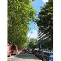 Dünya
