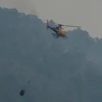Dünya