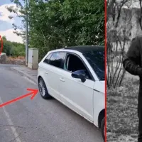 Gündem