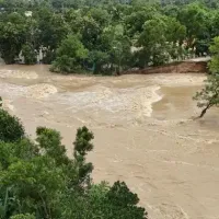 Dünya