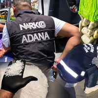 Asayiş