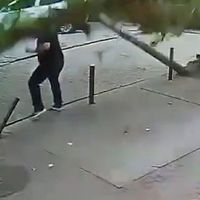Dünya