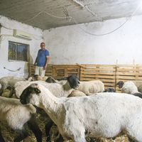 Güncel