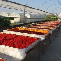 Kahramanmaraş