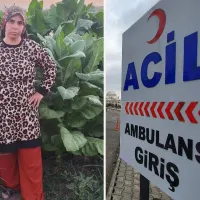 Asayiş