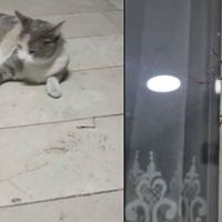 Çevre