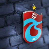 Spor