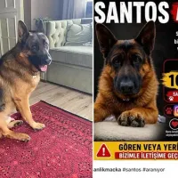 Güncel