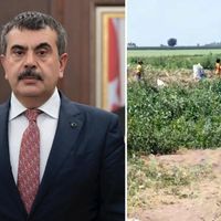 Eğitim