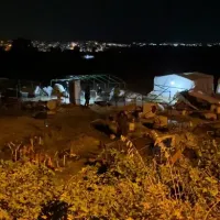 Asayiş
