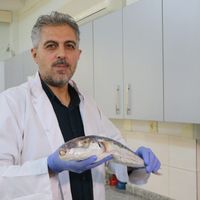 Sağlık