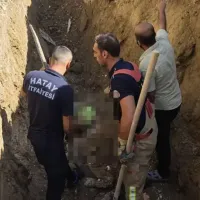 Asayiş