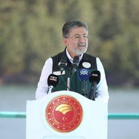 Asayiş