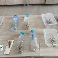 Gündem