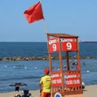 Güncel